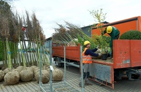 Bund deutscher Baumschulen (BdB) e.V.: Der Bund deutscher Baumschulen (BdB) empfiehlt: Jetzt ist die beste Pflanzzeit für Bäume und Gehölze/Pflanzungen bis Weihnachten möglich