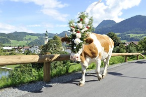 Alpbachtal | Almsommer endet mit farbenfrohem Almabtrieb