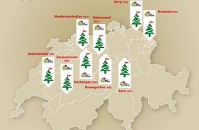 Coop Genossenschaft: 7 alberi di Natale su 10 provengono dalla Svizzera / Fatti, non parole n. 300: Coop ha un debole per gli alberi di Natale svizzeri