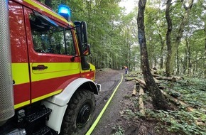 Feuerwehr Herdecke: FW-EN: Waldbrandübung der Jugendfeuerwehren aus dem EN-Kreis