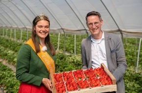 Edeka Südwest: Presse-Information: Offizieller Start für Erdbeersaison in der Region