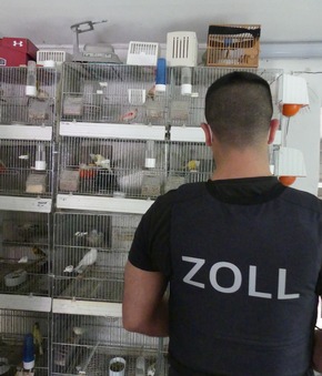 ZOLL-E: 22. Mai 2022 - internationaler Tag der biologischen Vielfalt - Zollfahndung Essen stellt artgeschützte Singvögel sicher