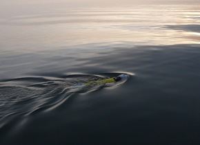 Deutsche Marine - Pressemeldung: Minentaucher erproben neuartige Tauchdrohne