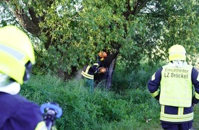 Feuerwehr Flotwedel: FW Flotwedel: Ortsfeuerwehr Bröckel löscht brennenden Baum