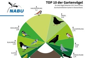 NABU: NABU: Vatertag bis Muttertag mit Vögeln verbringen / NABU, NAJU und LBV laden vom 10. bis 13. Mai zur 14. "Stunde der Gartenvögel"