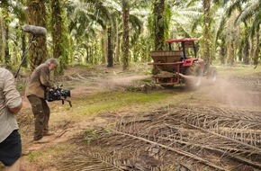 ARD ZDF: ZDF-"planet e."-Doku von Kino-Regisseur Kurt Langbein über den Palmöl-Boom als Öko-Problem