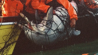 GRD Gesellschaft zur Rettung der Delphine e.V.: Südafrika: Tod eines seltenen Delfins entfacht Kontroverse um Hainetze