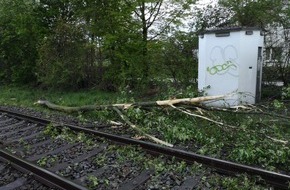 Bundespolizeiinspektion Bad Bentheim: BPOL-BadBentheim: Zug kollidiert mit einem umgestürzten Baum im Bahngleis