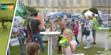 Universität Hohenheim: Biotenside: Bakterien produzieren natürliche waschaktive Substanz