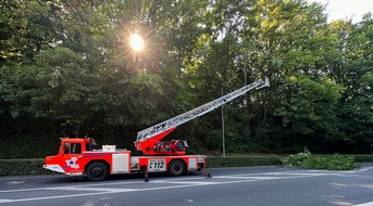 Feuerwehr Herdecke: FW-EN: Brandmeldealarm im Kraftwerk - Feuerwehr rettet Mauersegler aus Ratsaal