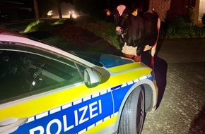 Polizeiinspektion Stade: POL-STD: Tierischer Einsatz in der vergangenen Nacht - freilaufende Kuh nach Hause begleitet