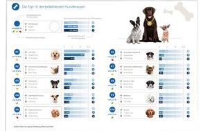 CHECK24 GmbH: Beliebteste Hunderassen: Labrador führt das Rudel erneut an