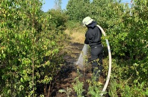 Feuerwehr Erkrath: FW-Erkrath: Erneuter Brand von Unterholz an der Bergischen Allee