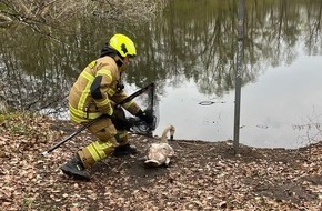 Feuerwehr Paderborn: FW Paderborn: Feuerwehr Paderborn rettet Schwan aus Gleisbereich - Lebensgefahr oft untersch&auml;tzt.
