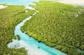 Qatar Tourism: Internationaler Tag zum Schutz des Mangroven-Ökosystems der UNESCO / Ein überraschend grünes Abenteuer in Katar: Warum der Wunderbaum so wichtig ist