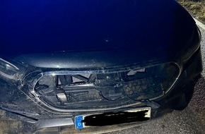 Polizeidirektion Landau: POL-PDLD: Edenkoben - Wildunfall