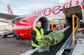Air Berlin PLC: Kostenloser Weihnachtsbaumtransport bei airberlin
