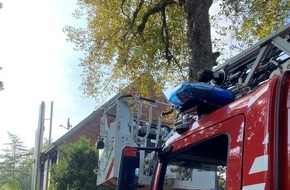 Feuerwehr Bochum: FW-BO: Nach Wespenstich Feuerwehreinsatz im Marderweg