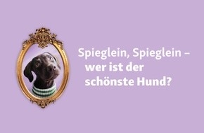 Fressnapf Holding SE: Welthundetag: Fressnapf sucht den schönsten Hund Deutschlands 2024