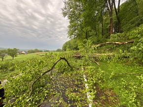 FW VG Westerburg: Unwetter wütet über Verbandsgemeinde Westerburg - Feuerwehren im Dauereinsatz