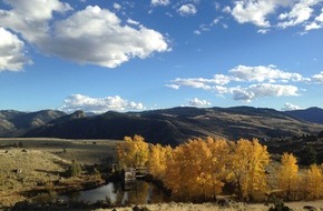 ZDF: Leben "Im Zauber der Wildnis - Yellowstone" / ZDF-Dokumentation über den ältesten Nationalpark der Welt (FOTO)