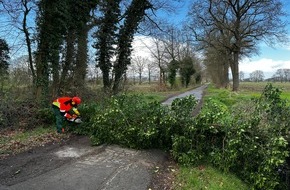 Feuerwehr Schermbeck: FW-Schermbeck: Baum blockiert Fahrbahn