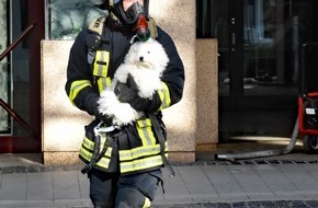 Feuerwehr Dortmund: FW-DO: 20.04.2020 - FEUER IN MITTE Feuer auf Balkon im dritten Obergeschoss