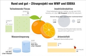 EDEKA ZENTRALE Stiftung & Co. KG: Orangen aus dem Zitrusprojekt von WWF und EDEKA: EDEKA-Orange punktet in Sachen Umweltfreundlichkeit