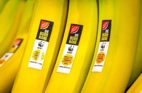 EDEKA ZENTRALE Stiftung & Co. KG: EDEKA und WWF erweitern Bananenprogramm für mehr Nachhaltigkeit: Die BOAHNANE revolutioniert den Markt
