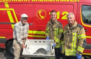 Feuerwehr Bremerhaven: FW Bremerhaven: Tierrettung an der Deichpromenade - Junger Seehund in Sicherheit gebracht