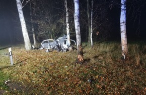 Polizeiinspektion Lüneburg/Lüchow-Dannenberg/Uelzen: POL-LG: ++ versuchter Pkw Diebstahl ++ Leichtkraftradfahrer schwer verletzt - betrunken mit Baum kollidiert ++ Geldbörse geraubt ++
