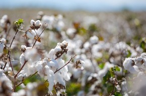 The European Cotton Alliance (ECA): Die EUCOTTON-Initiative: So setzt der europäische Baumwollsektor die Weichen in Richtung Rückverfolgbarkeit in der Mode