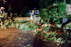 Freiwillige Feuerwehr Hünxe: FW Hünxe: Baum stürzt auf Hausdach