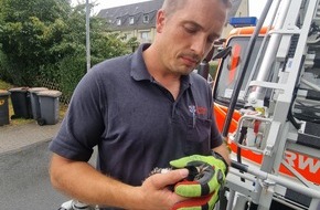 Feuerwehr Bottrop: FW-BOT: Specht von Feuerwehr befreit
