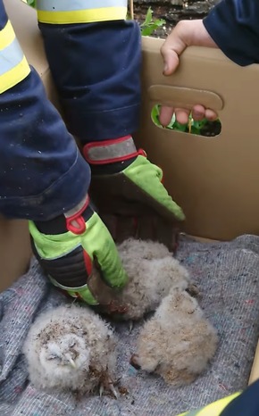 FW VG Westerburg: Unwetter wütet über Verbandsgemeinde Westerburg - Feuerwehren im Dauereinsatz