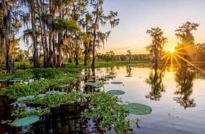 Fremdenverkehrsbüro New Orleans & Louisiana: Travel Forward: Louisiana von einer neuen Seite aus entdecken