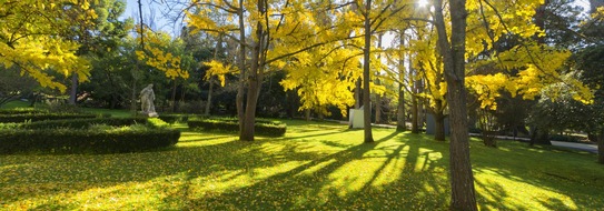 Turismo de Lisboa: Das grüne Herz von Lissabon: Natur und Erholung in der Stadt