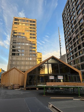 «Zürcher Weihnachtsallee» eröffnet am Donnerstag erstmalig