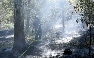 FW-RD: 400 Einsatzkräfte bekämpfen Waldbrand bei Mielkendorf