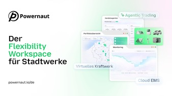 Powernaut BV: Europa muss sich aus der importierten Energiekrise herausbauen