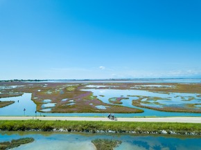 Das bieten Venedigs Strände im Sommer 2024
