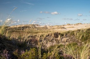 Sylt Marketing GmbH: Terra Incognita