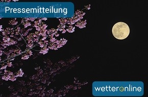 WetterOnline Meteorologische Dienstleistungen GmbH: Das Osterparadoxon - Fällt der Ostertermin 2019 aus dem Rahmen?