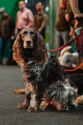 25. Reiten-Jagen-Fischen und 5. FORST³ mit über 26.000 Messegästen