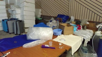 ZOLL-F: Umschlagplatz für Glasaalschmuggel ausgehoben, 210.000 Glasaale gerettet - 3 Tatverdächtige in U-Haft