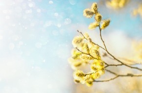 Wort & Bild Verlagsgruppe - Gesundheitsmeldungen: Pollenallergie und Diabetes - eine gefährliche Kombination / Heuschnupfen kann die Zuckerwerte erhöhen. Menschen mit Diabetes sollten sich deshalb gut gegen die bevorstehende Allergiesaison wappnen