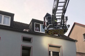 Feuerwehr Gelsenkirchen: FW-GE: Hund auf Abwegen von der Feuerwehr gerettet
