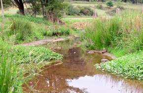 Landschaftsagentur Plus GmbH: Pressemeldung Ellbach