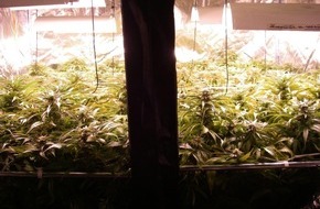 Polizei Düren: POL-DN: Cannabis-Plantage entdeckt
