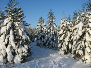 Winterlandschaften vom Feinsten / CEWE COLOR kürte Wettbewerbssieger 2010 (mit Bild)